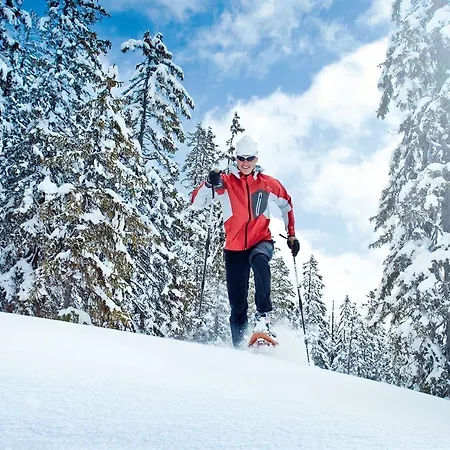 Apartman Nicole Bramberg am Wildkogel